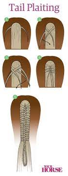 Perfect Tail Plaiting Improve Your Riding Your Horse Horse Braiding Horse Hair Braiding Horse Grooming