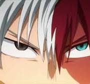 Half-Cold Half-Hot | My Hero Academia Wiki | Fandom