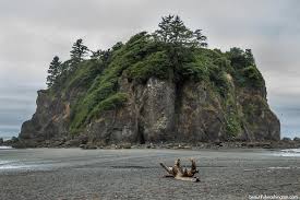 Maybe you would like to learn more about one of these? Ruby Beach Olympic National Park Wa