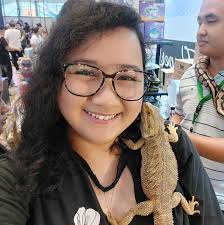 Diy backgrounds and hides for reptiles