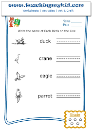 You can create writing practice sheets in d'nealian or esl writing wizard. Preschool Worksheets Write The Name Of Each Bird Worksheet 1