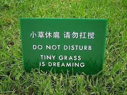 Most Amusing Keep Off The Grass Sign Funny Signs Funny Chinese Translation Fail