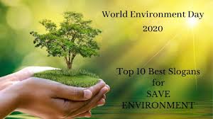It is a day upon which, for over forty years, people the world over have advocated and acted for a healthy environment. World Environment Day 2020 Top 10 Best Slogans For Save Environment Youtube