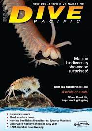 DIVE NZ D176 March/April 2021