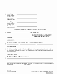 The focus is the children's best interest. Nc Temporary Custody Forms Lovely Sample Joint Custody Agreement Beautiful The Temporary Guardianship Models Form Ideas