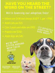 Allan's pet center is one of the last true pet stores in the los angeles area. Young Williams Animal Center Announces Lower Adoption Fees