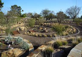 There are many beautiful plants of various colors, sizes and types to fill your yard with. Xeriscaping Ideas How To Xeriscape Your San Diego Yard Install It Direct