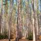 Eco-Book Club & Hike @ the Cumming Nature Center!