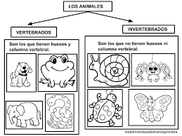 Resultado De Imagen Para Animales Oviparos Y Mamiferos Preescolar Vertebrados E Invertebrados Animales Vertebrados Caracteristicas De Los Animales