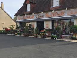 Meillant Fleurs Accueil Facebook