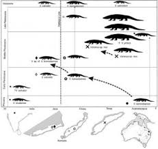 The Origin Of The Komodo Dragon Science Smithsonian