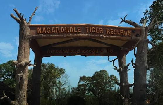 Wayanad Wildlife Sanctuary