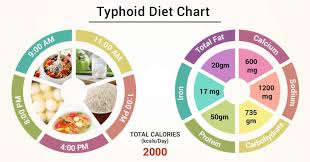 Diet Chart For Typhoid Patient, Typhoid Diet chart | Lybrate.
