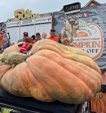 Image result for giant pumpkin