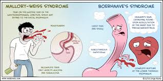 You can donate via venmo or cash app to support this channel (thanks!): Compoundfractur Mallory Weiss Syndrome Vs Boerhaave S Syndrome Medical Graduate Nursing Notes Nursing Study