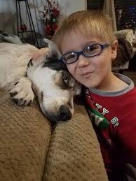 Smith's Den Dog Rescue