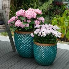 Pflanztopfe Ithaka 2er Set Online Kaufen Bei Gartner Potschke Pflanzen Gartenbedarf Gartenprojekte