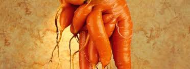 Ob es einem nun bekommt wird man dann schon merken. Was Darf Man Bei Gicht Essen