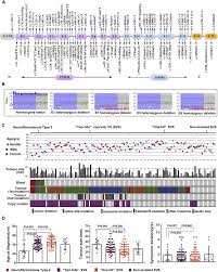 Mutations can occur during dna replication if errors are made and not corrected in time. Genetic And Clinical Characteristics Of Schwannomas With Differential Download Scientific Diagram