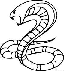 Cobra coloring page is a set of contour images with a poisonous snake. Cobra Coloring Pages Coloringall