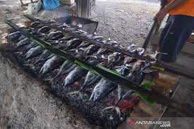 Kulit ikan tongkol agak keras, jadi kita ambil dagingnya saja. Permintaan Tongkol Bakar Antara News Aceh