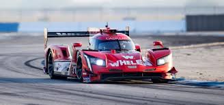 Buffalo (both later die from t. Wec Lmp1 Or Dpi Racecar Engineering