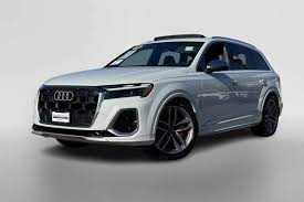 Image result for Daytona Gray 2025 SQ7