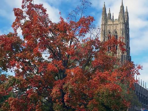 A Look at Fall Campus Colors | Duke Today