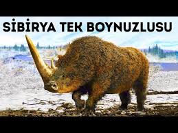 Nesli Tukenen Hayvanlar Hangileridir Youtube