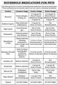 Obtain a prescription from your vet for the pet medication you wish to buy. Though This Info Graphic Does Not Have Fun Sketches Or Bright Colors To Go Along With Its Information I Thought It Was Medication For Dogs Dog Remedies Pets