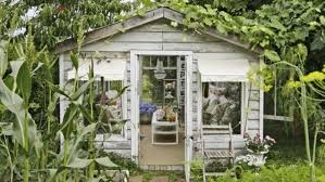 Maize Vines And Other Plants Growing Around A Pale Grey Garden Shed Living Room Furniture Visible Through Its Open Backyard Shed Building A Shed Outdoor Sheds