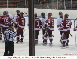 Alex biega is a canadian professional ice hockey defenceman currently playing for the detroit red wings of the national hockey league. 3brothers Harvard