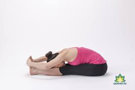 All Gaia Articles Updates News Posturas De Yoga Posturas Yoga