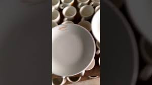 Pencere silmek için sıvı deterjan tercih edilmelidir. Porselen Tabaktan Logo Silme Youtube
