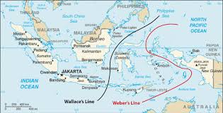 Gambar peta flora dan fauna di indonesia hd download now peta perseb. Persebaran Fauna Di Indonesia Tambah Pinter Tambah Pinter