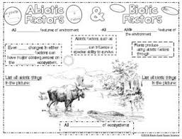 Biotic And Abiotic Factors Worksheet Answers Abiotic Factors And Biotic Factors Squiggle Sheets Under Abiotic Biotic Science Doodles