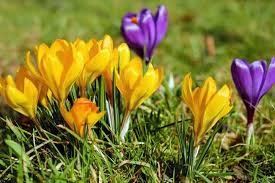 And, don't be too hard on yourself if your lawn does sport these bare areas because everything from. 10 Tips For Maintaining A Beautiful Yard Old Farmer S Almanac