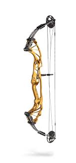 hoyt prevail hoyt archery