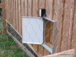 The Blonde Gardener Chicken Coop Automatic Chicken Door Chickens Backyard