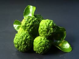 Oil from the peel of the fruit, and extract from the fruit juice, are used to make medicine. Was Ist Bergamotte Laurel Koeniger