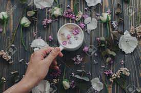 4.5 out of 5 stars. Hand Holding Coffee With Lilac Petals On Dark Wooden Background With Blooming Flowers Top View Fresh Aromatic Coffee In Stylish Cup And Spring Petals On Rustic Wood Morning Aesthetic Stock Photo Picture