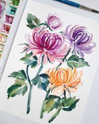 Chrysanthemum Chrysanthemum Flower Drawing Floral Watercolor Chrysanthemum Painting