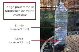 Piege A Frelon Asiatique Comment Le Fabriquer Tutoriel Illustre Piege Frelon Asiatique Frelon Asiatique Piege A Frelon