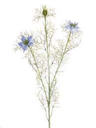 Artificial Nigella Love In The Mist Artificial Flowers Flowers Everlasting Flowers