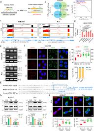 Image result for Nile Green 1951 Nash