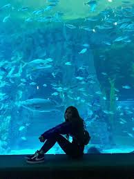 Blackpink Breathe Aesthetic Breathe If You Agree Sereias Lindas Blakpink Blackpink