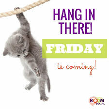 Maybe you would like to learn more about one of these? Friday Good Morning Thursday Funny Novocom Top