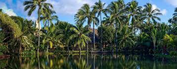 Read about the office locations, company history, leadership teams, and employee perks. Fiji Islands Polynesian Cultural Center