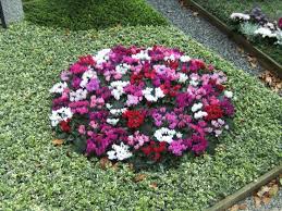 Was Soll Ich Als Grabbepflanzung Benutzen Grabbepflanzung Bepflanzung Und Friedhofs Blumen