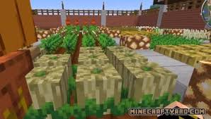 Minecraft bees like to hang around three distinct biomes: Simple Farming Mod 1 16 5 1 15 2 1 14 4 Agriculture Minecraft
